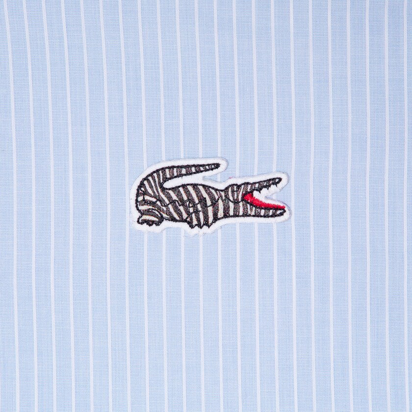 Camisas Azuis Branco Masculino Lacoste x National Geographic Regular Fit Striped Cotton BI5-86108B4