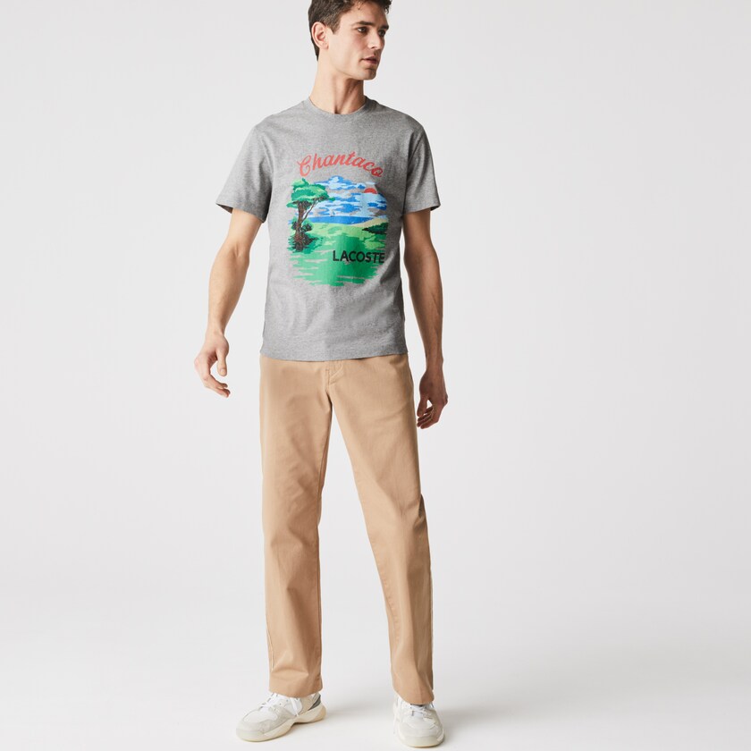Camiseta Cinzentas Vermelhas Masculino Lacoste Crew Neck Landscape Print Cotton VA3-15601L1