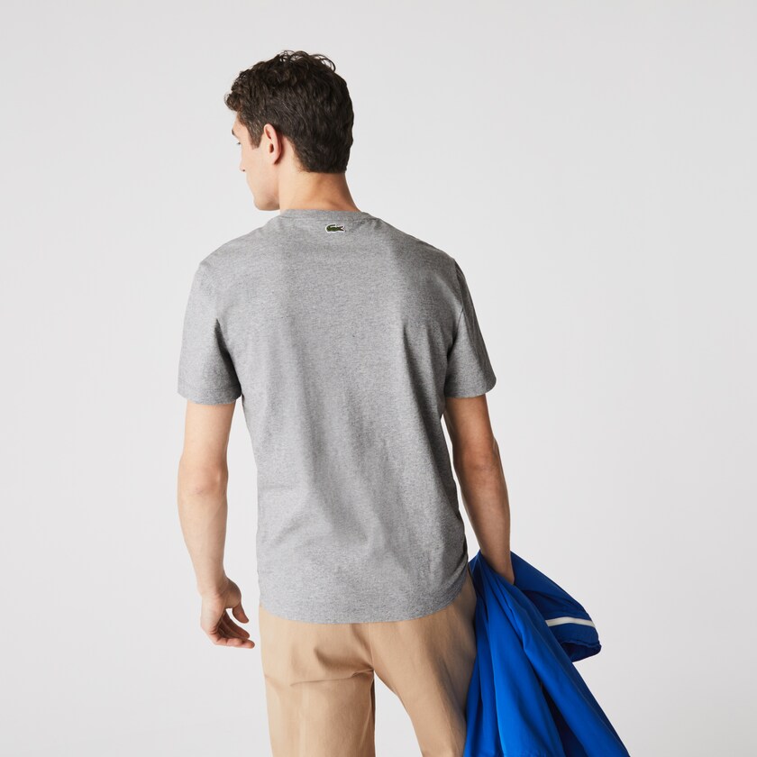 Camiseta Cinzentas Vermelhas Masculino Lacoste Crew Neck Landscape Print Cotton VA3-15601L1