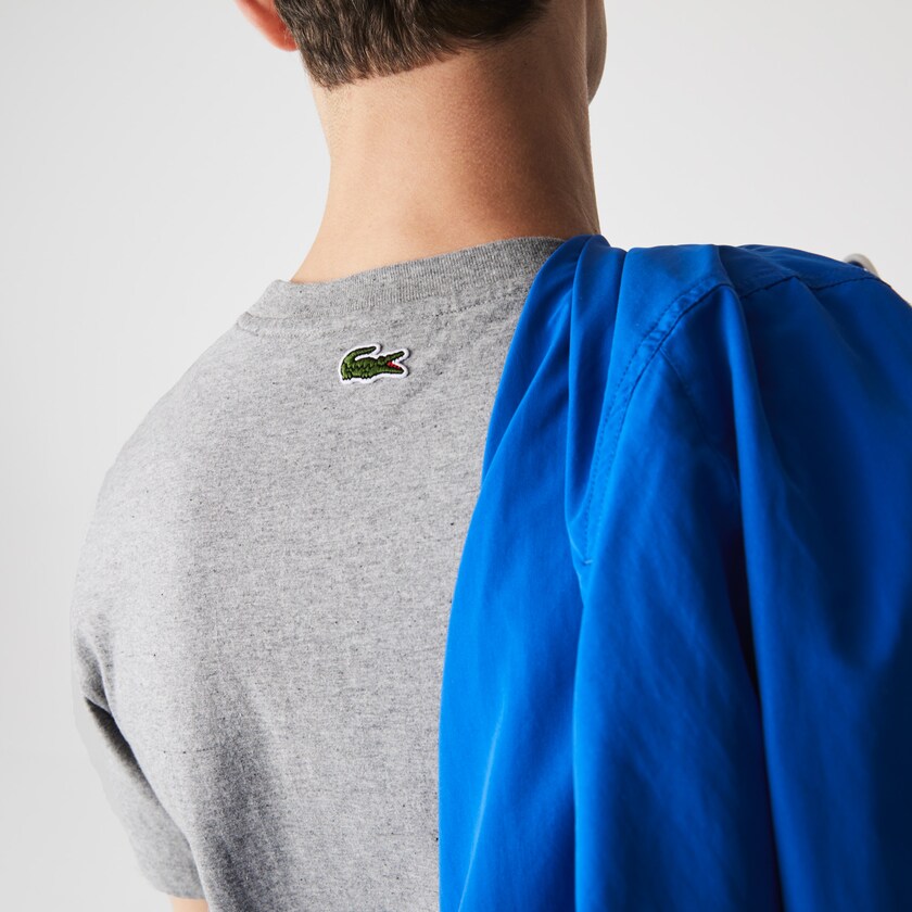 Camiseta Cinzentas Vermelhas Masculino Lacoste Crew Neck Landscape Print Cotton VA3-15601L1