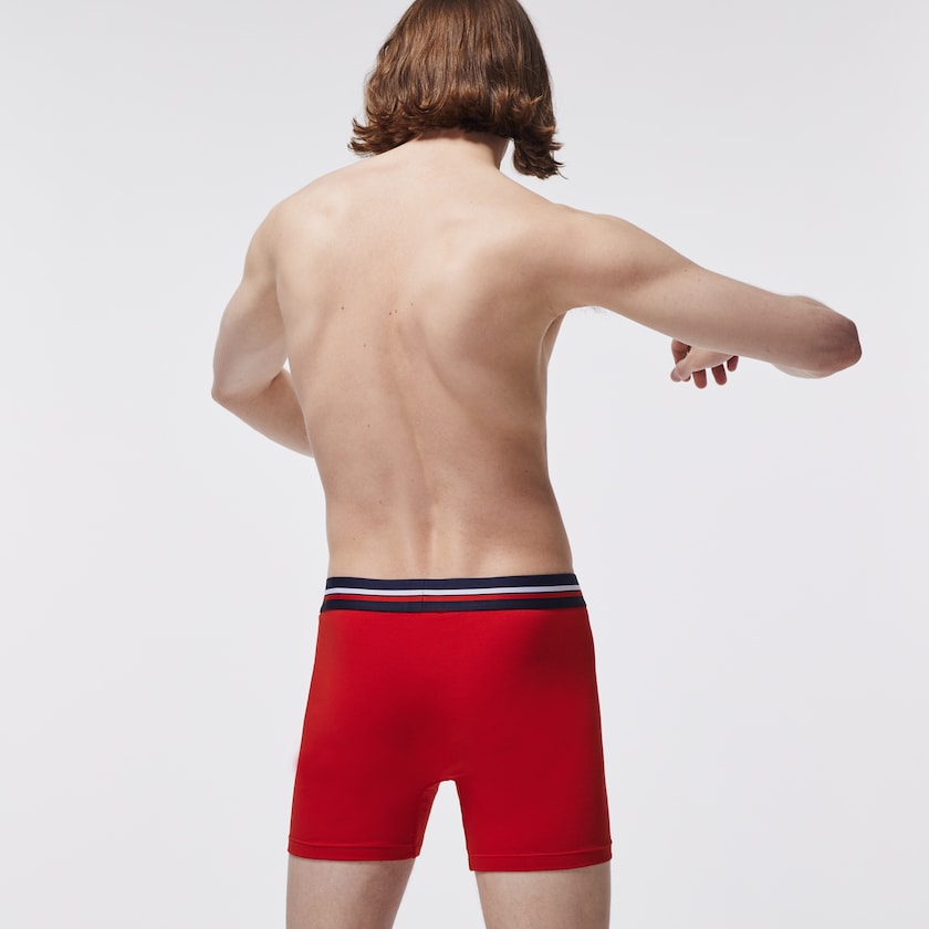 Cuecas Azul Marinho Azuis Cinzentas Vermelhas Masculino Lacoste Pack Of 3 Casual Boxers UV4-05520Y5