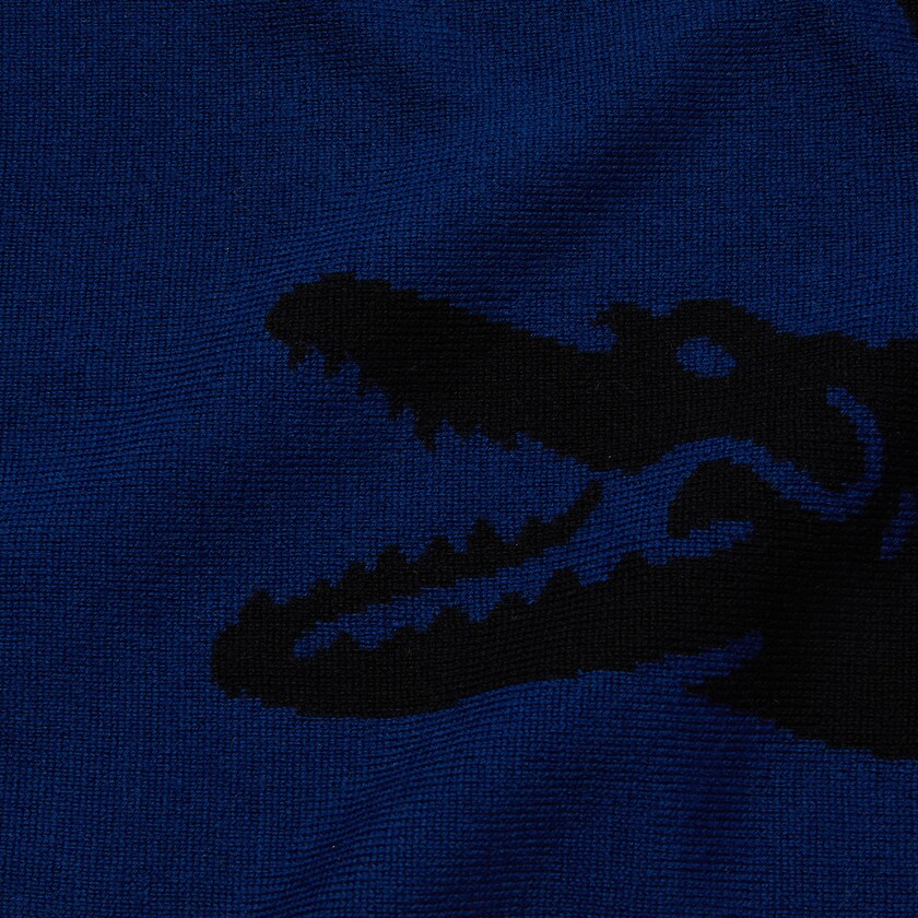 Lenços Pretas Azuis Masculino Lacoste Oversized Crocodile Rectangular Wool KH3-06810I9