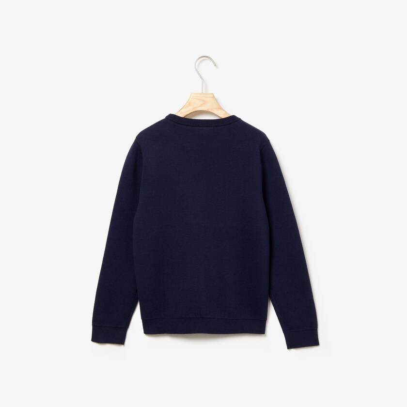 Suéteres Azul Marinho Azuis Criança Lacoste Embroidered Croco Magic Wool And Cotton UY9-90629M3