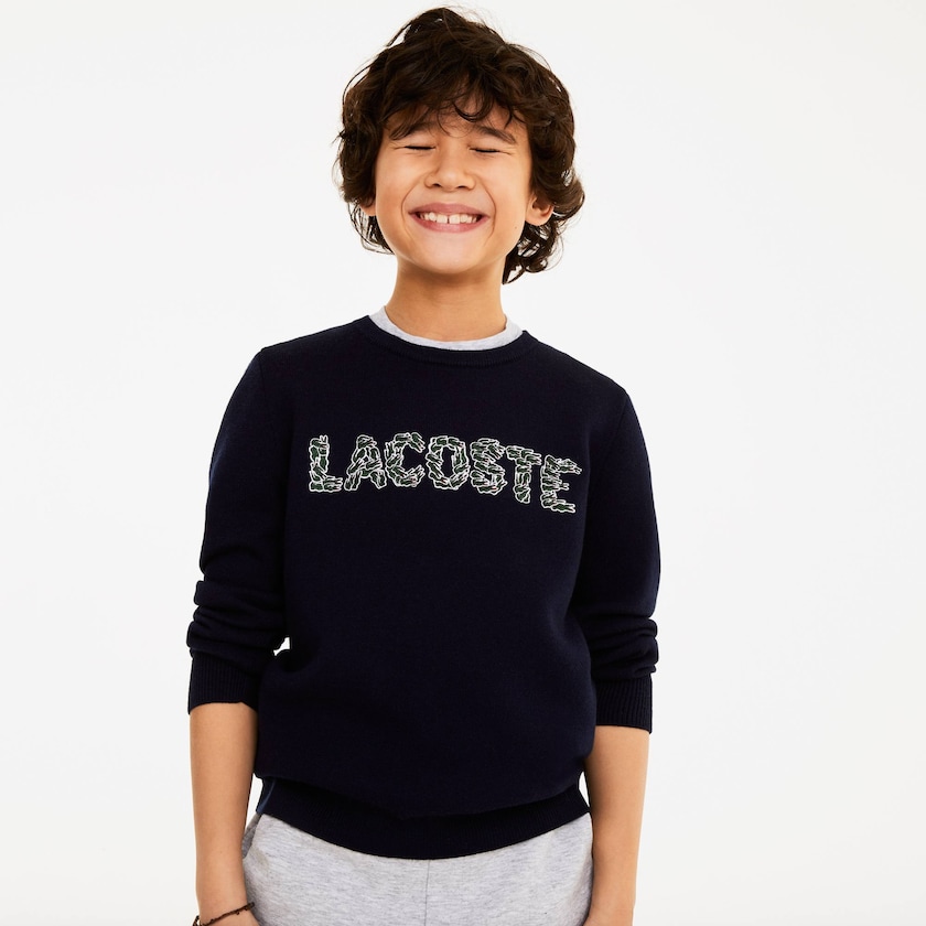 Suéteres Azul Marinho Azuis Criança Lacoste Embroidered Croco Magic Wool And Cotton UY9-90629M3
